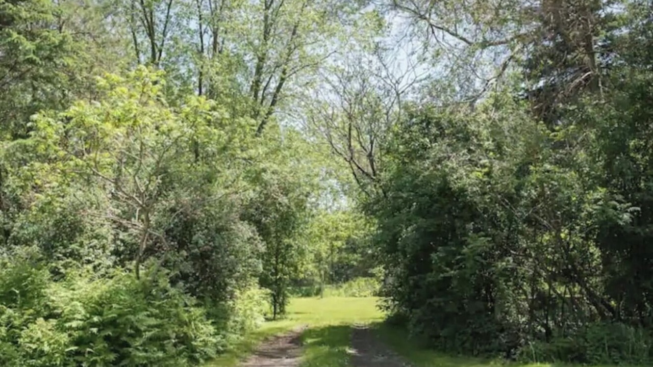 Photo of Others in Waterloo