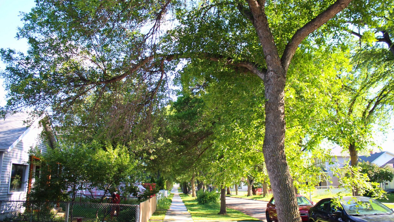Photo of Outdoor in North Central Edmonton