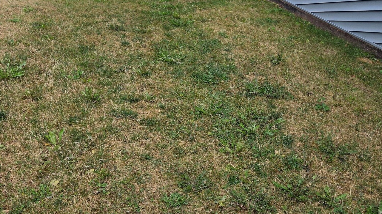 Photo of Others in Charlottetown