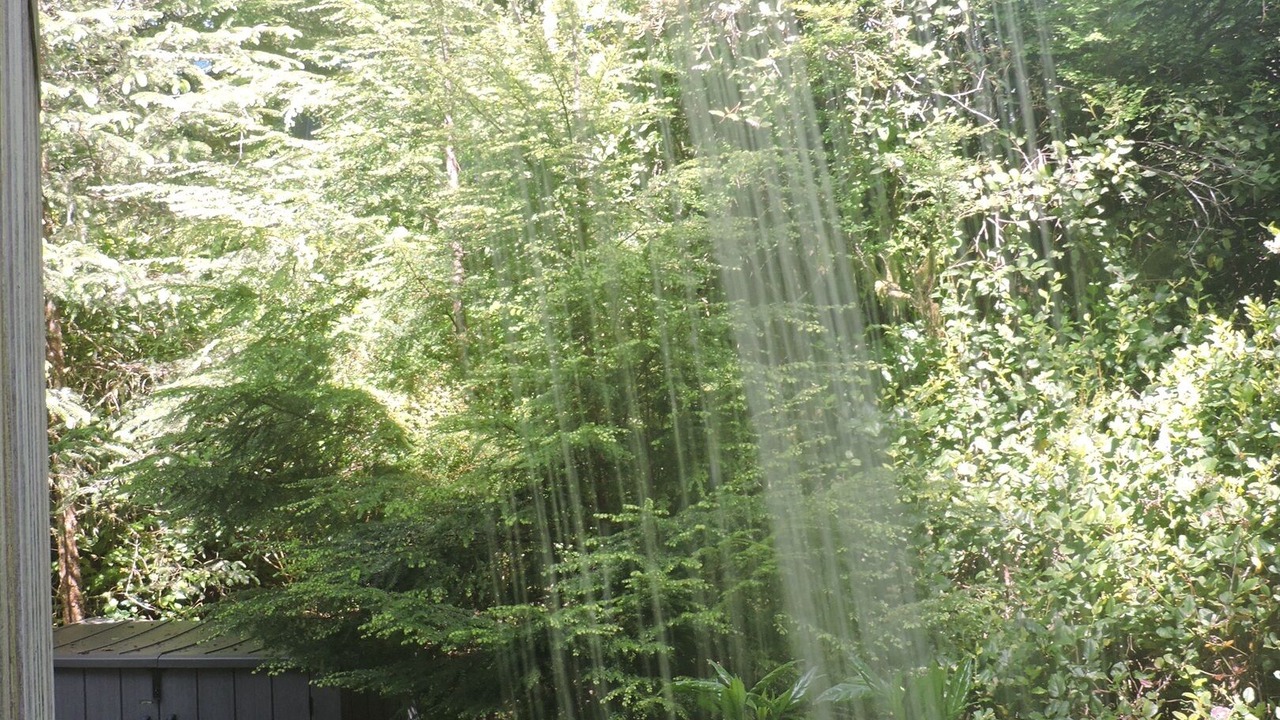 Photo of Outdoor in Tofino
