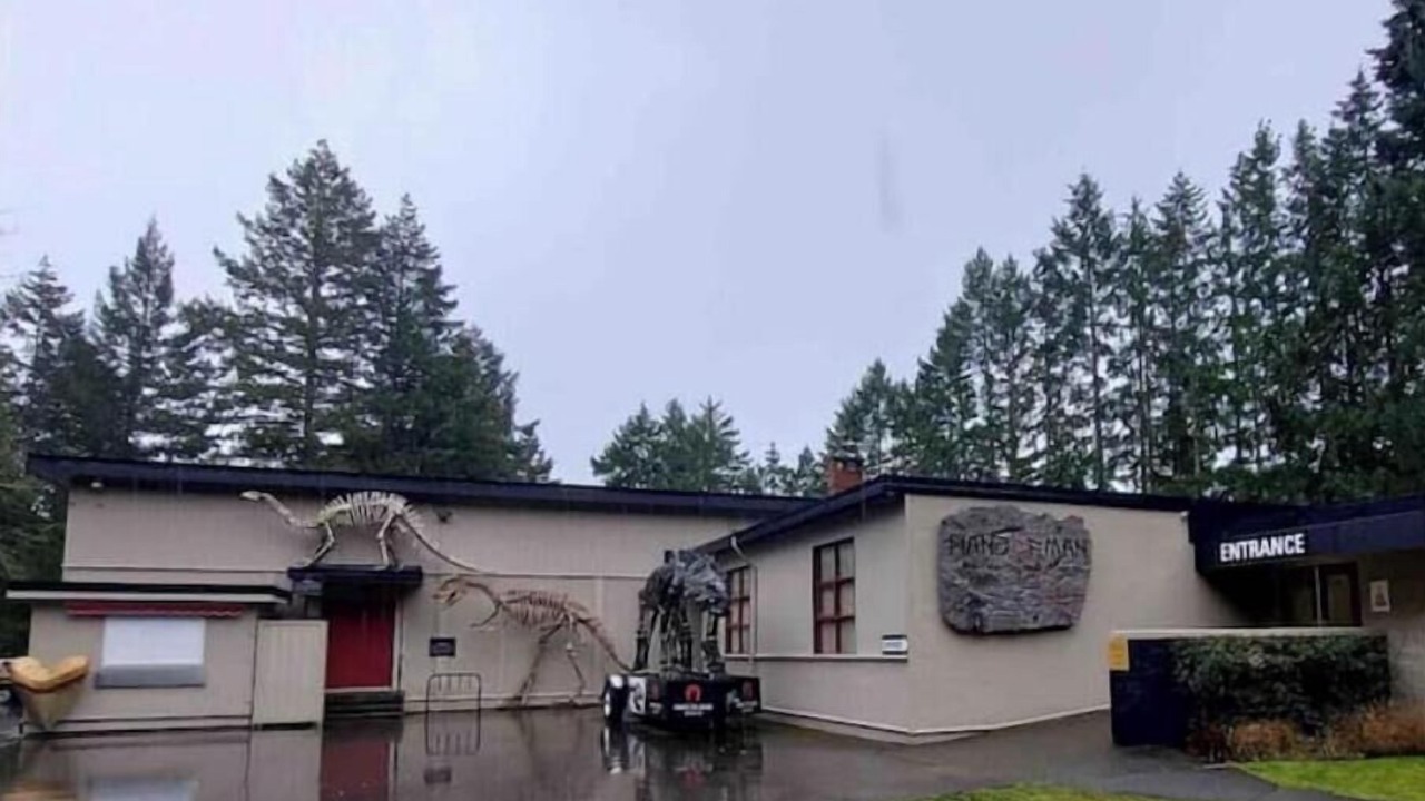 Photo of Others in Maple Bay