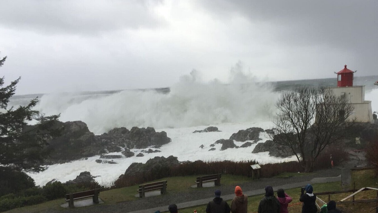 Photo of Others in Ucluelet