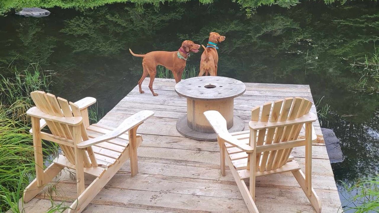 Photo of Outdoor in Bromont