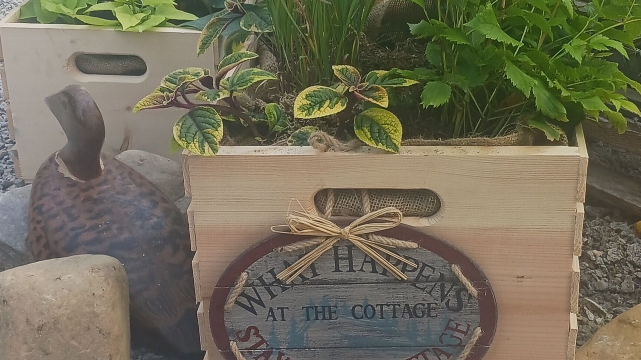 Photo of Outdoor in Clare