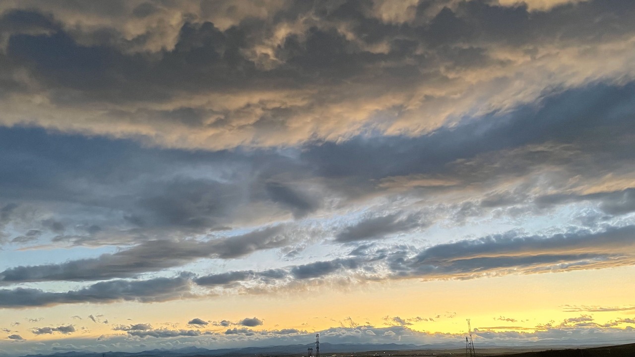 Photo of Others in Northwest Calgary