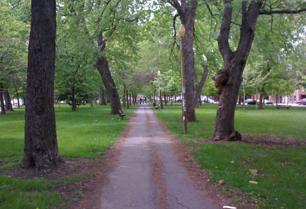 Photo of Others in Pointe-Saint-Charles