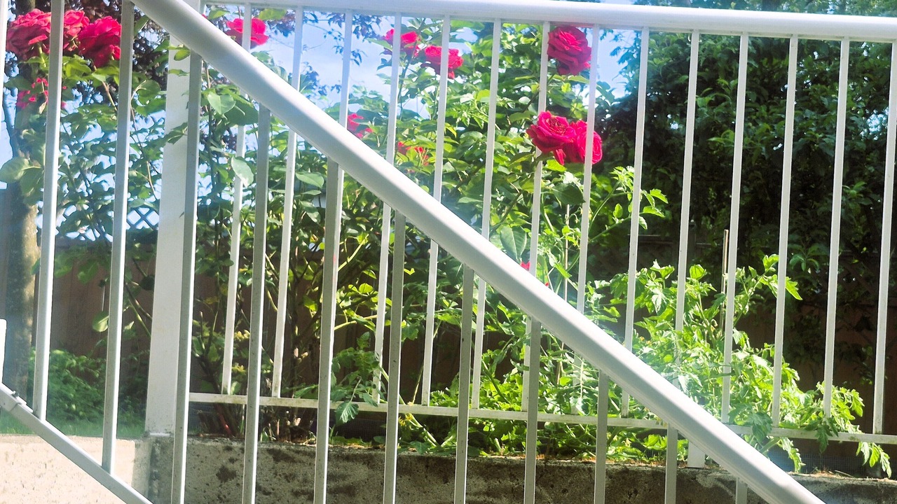 Photo of Outdoor in Guildford