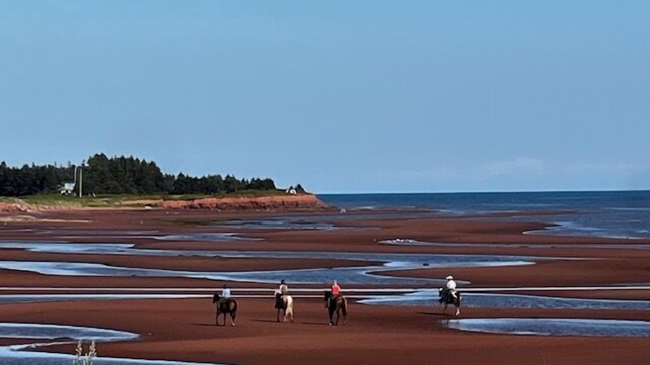 Photo of Others in Cape Traverse