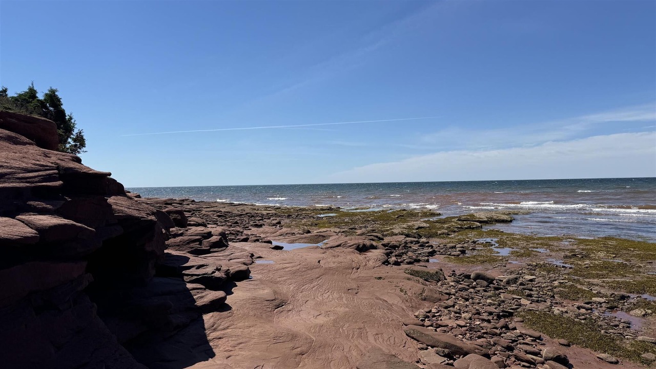 Photo of Others in Cape Traverse
