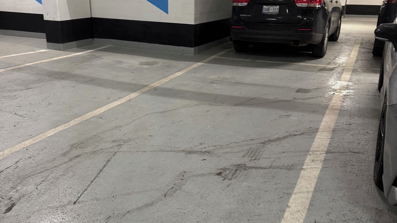 Photo of Outdoor in Downtown Mississauga
