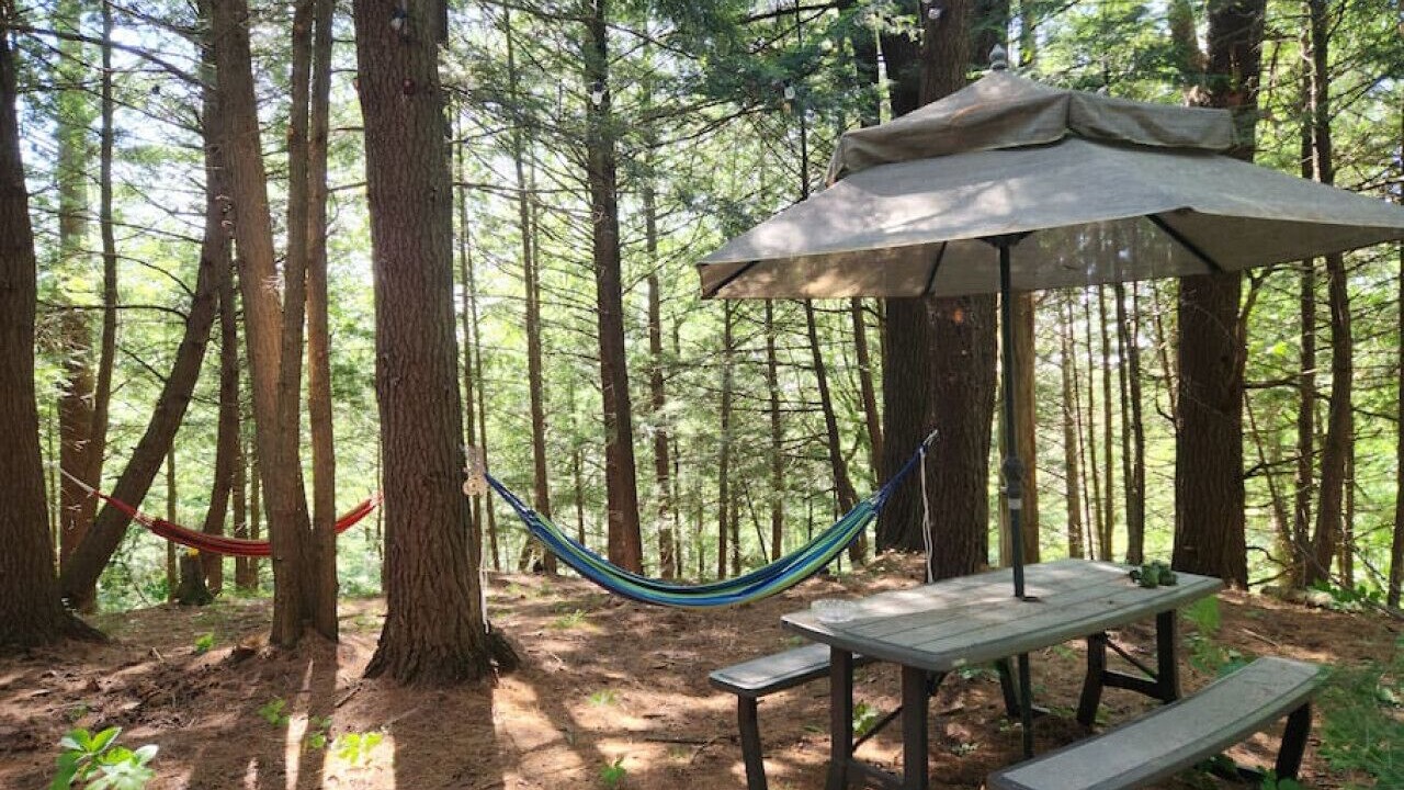 Photo of Others in Bracebridge