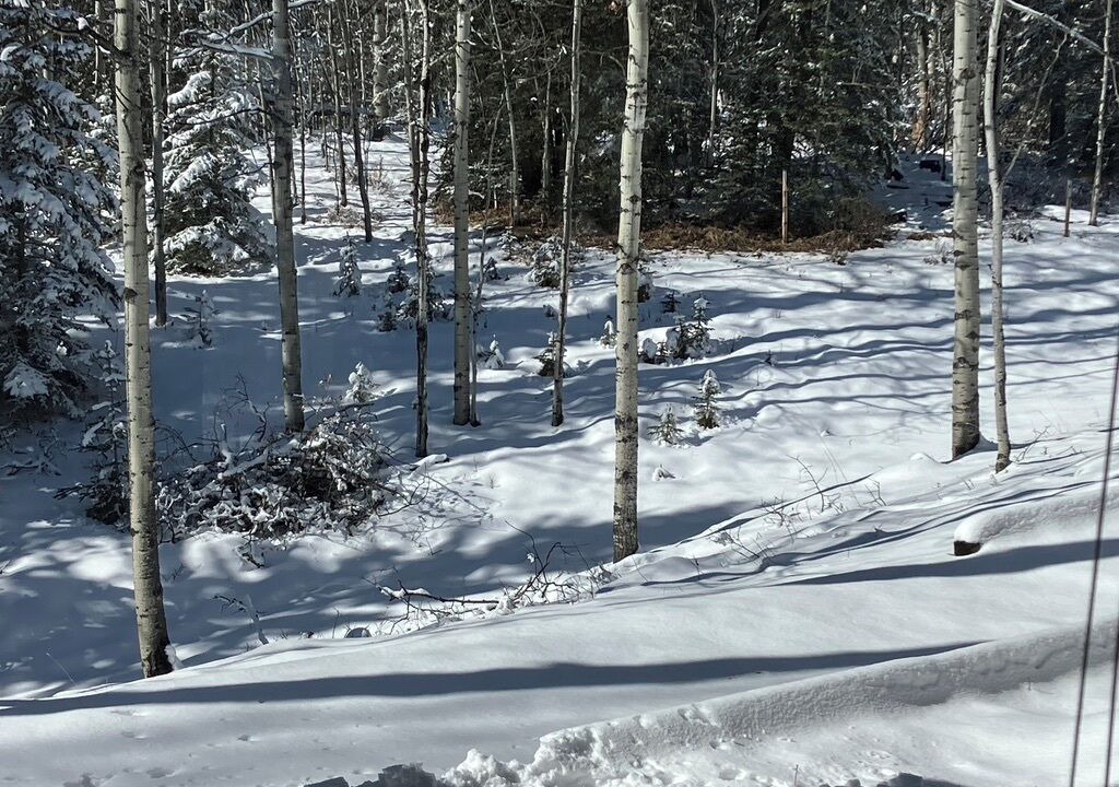 Photo of Others in Bragg Creek