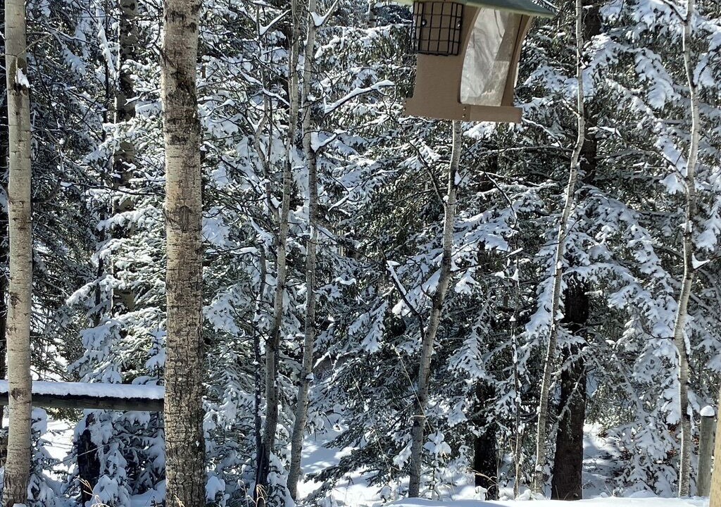 Photo of Others in Bragg Creek