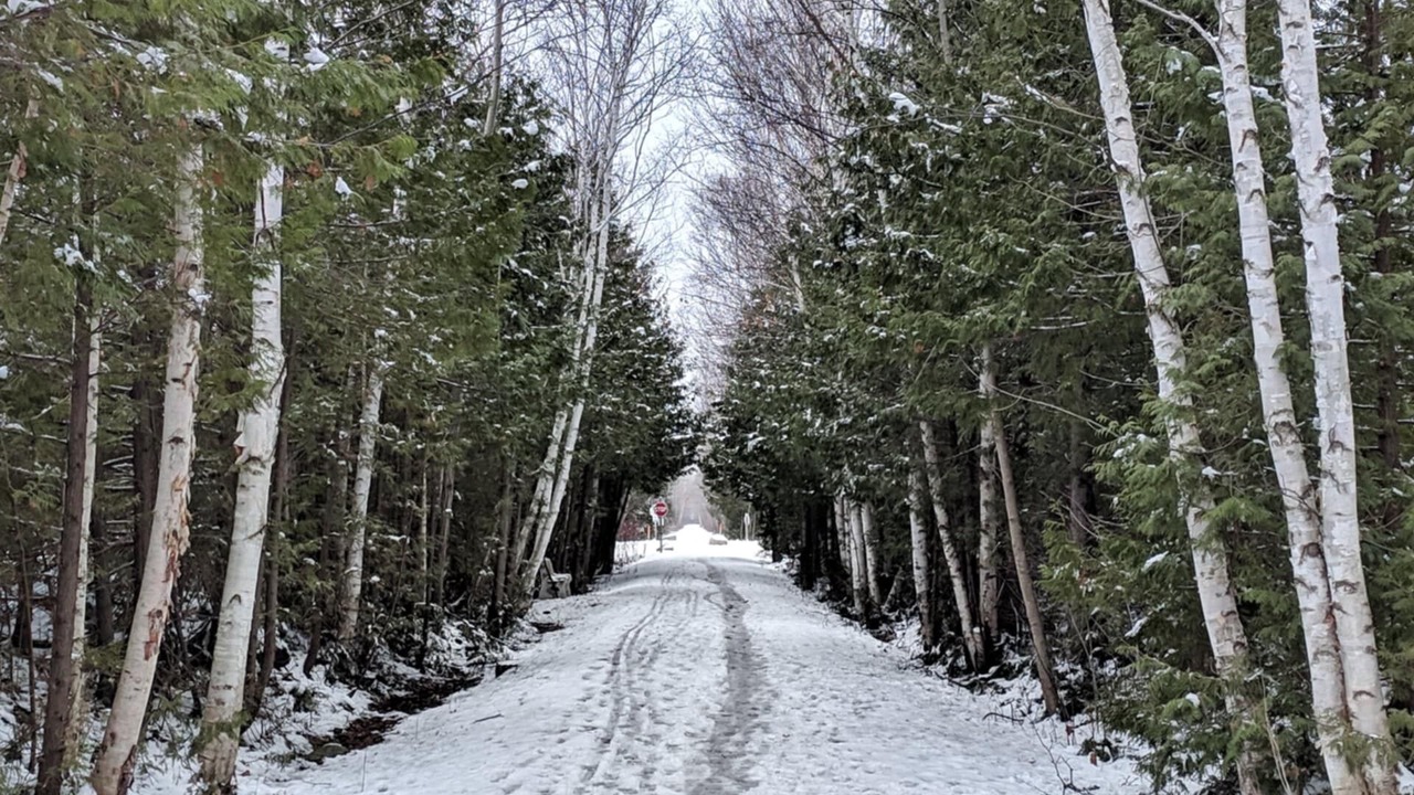 Photo of Others in Wiarton