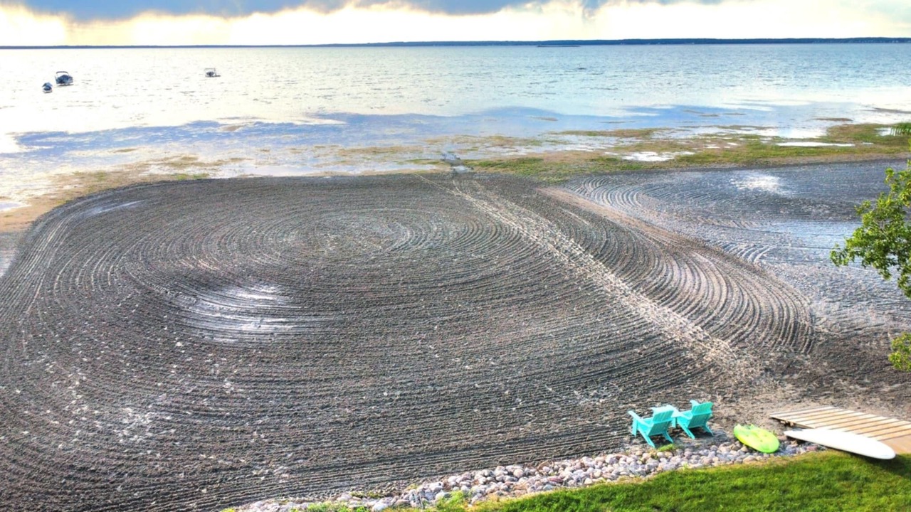 Photo of Others in Alberta Beach