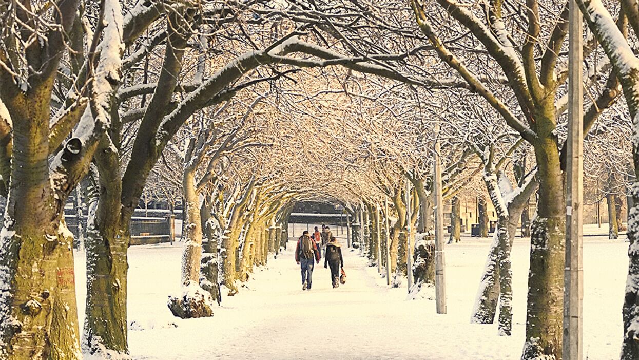 Photo of Others in Lachine