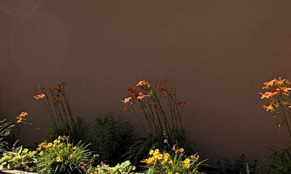 Photo of Outdoor in Mara