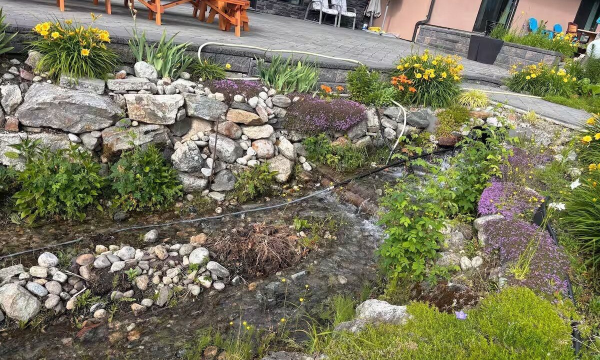 Photo of Outdoor in Mara