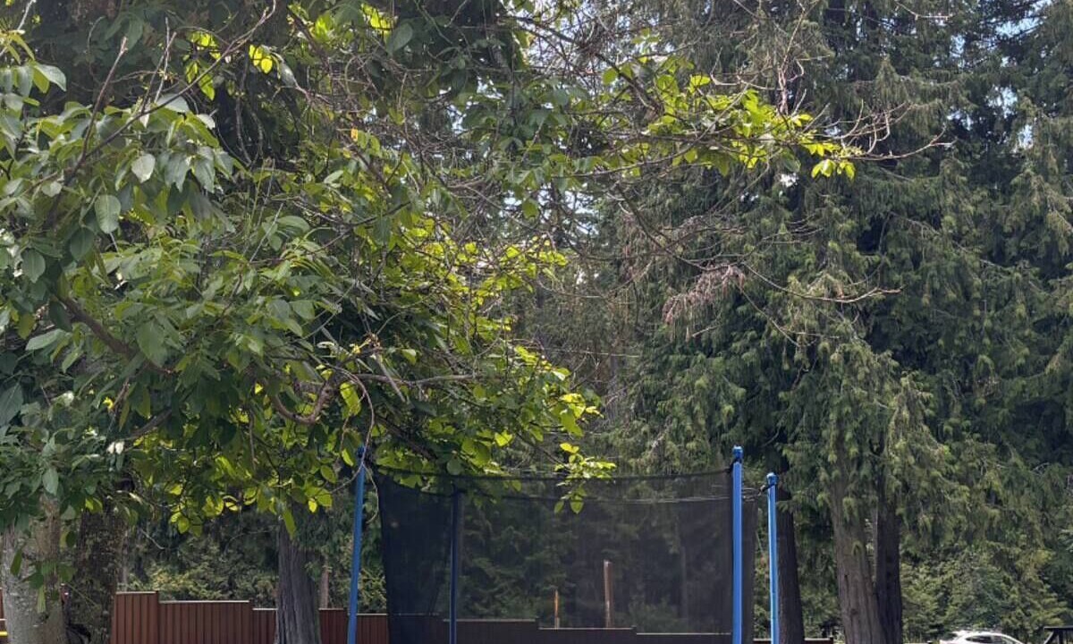 Photo of Outdoor in Mara