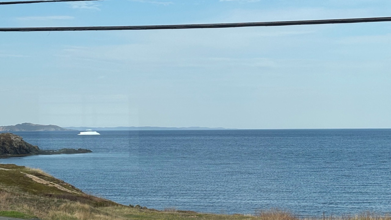 Photo of Others in Twillingate