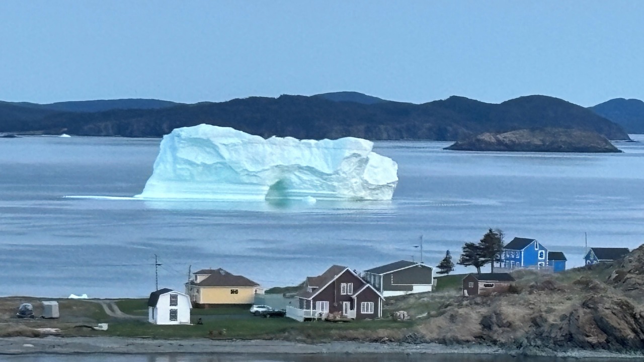 Photo of Others in Twillingate