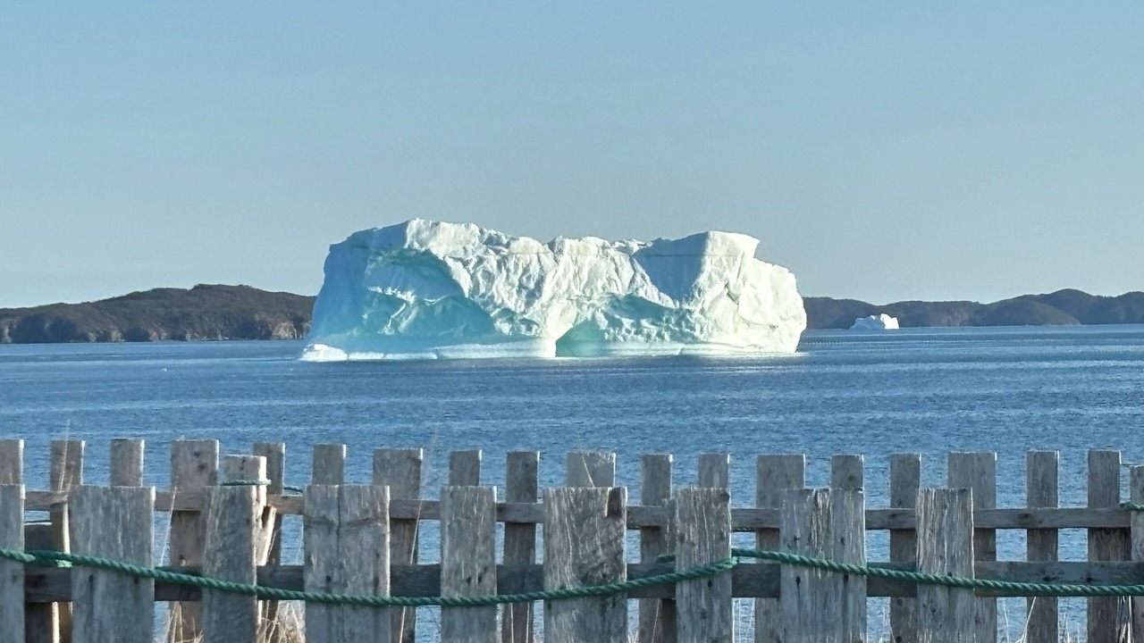 Photo of Others in Twillingate