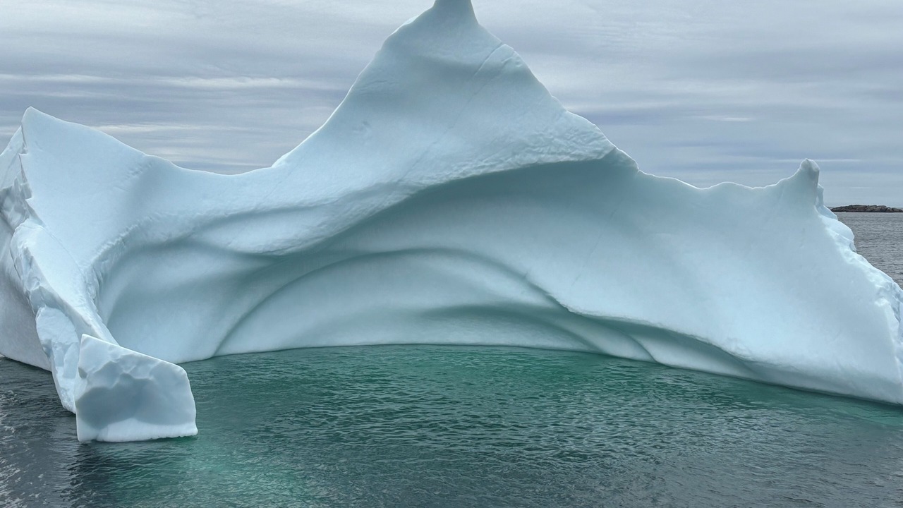 Photo of Others in Twillingate