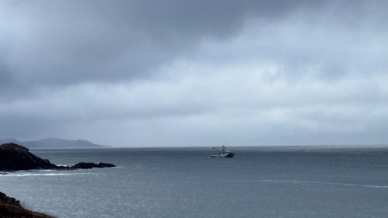 Photo of Others in Twillingate