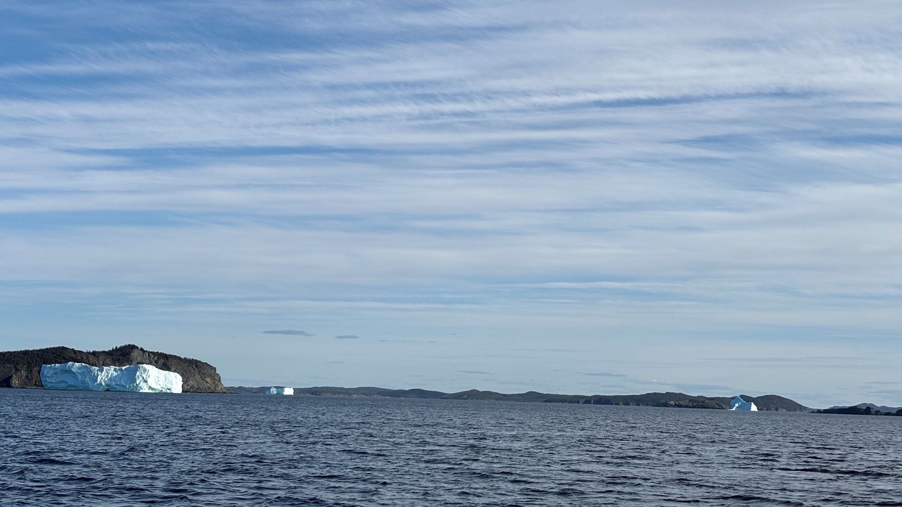 Photo of Others in Twillingate