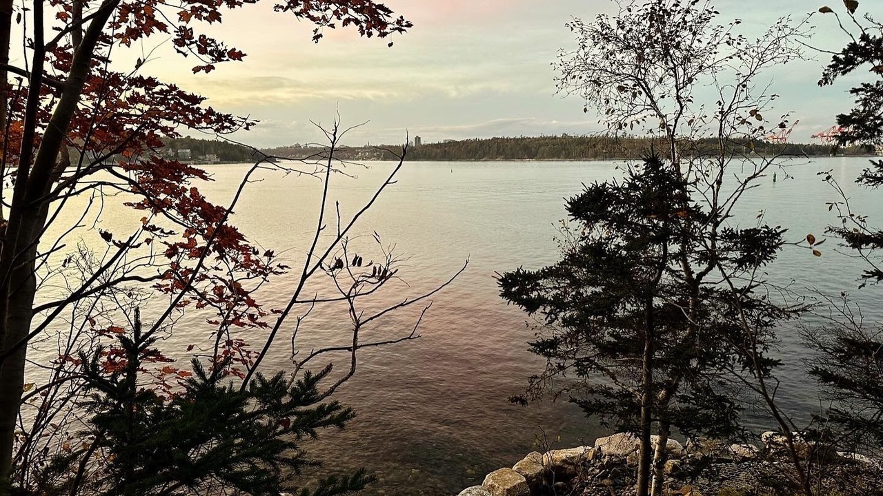 Photo of Others in Halifax