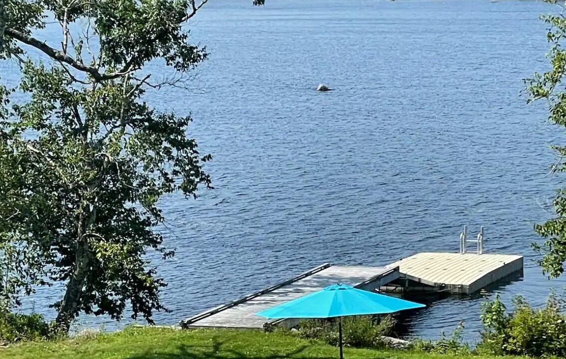 Photo of Outdoor in Halifax County