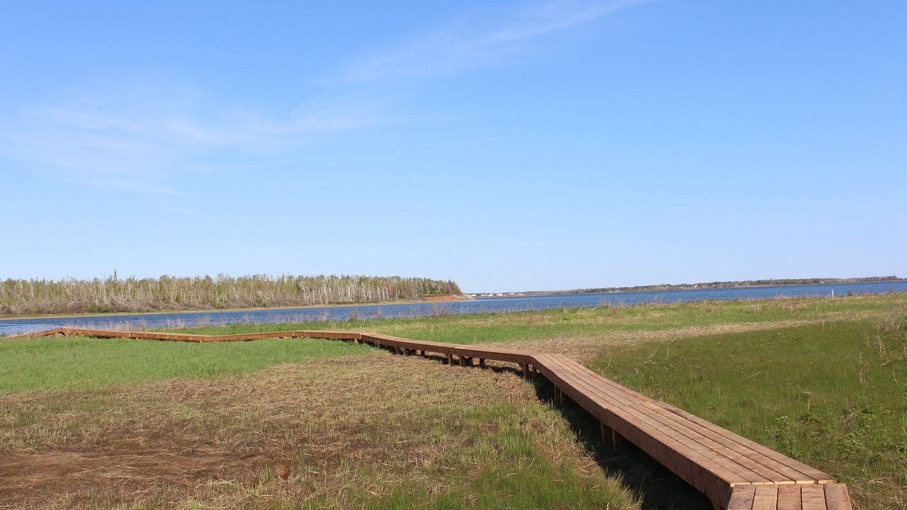 Photo of Others in West Covehead