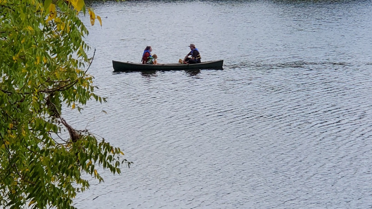 Photo of Others in Sutton