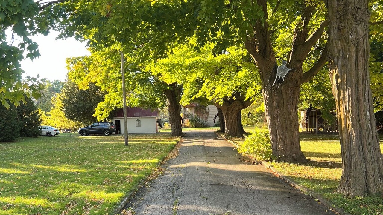 Photo of Others in Sutton