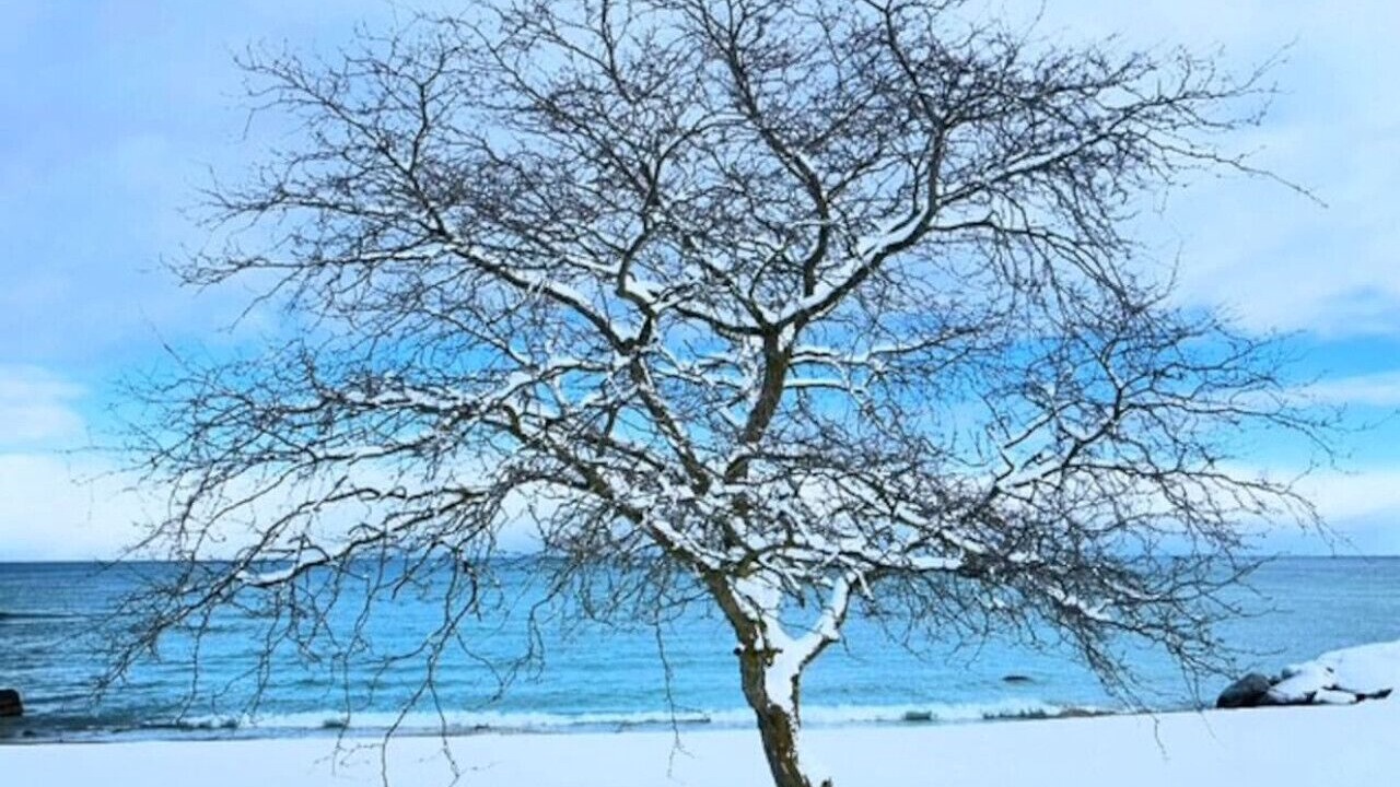 Photo of Others in Meaford