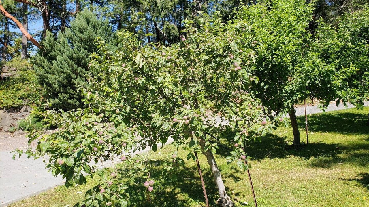 Photo of Outdoor in Gulf Islands