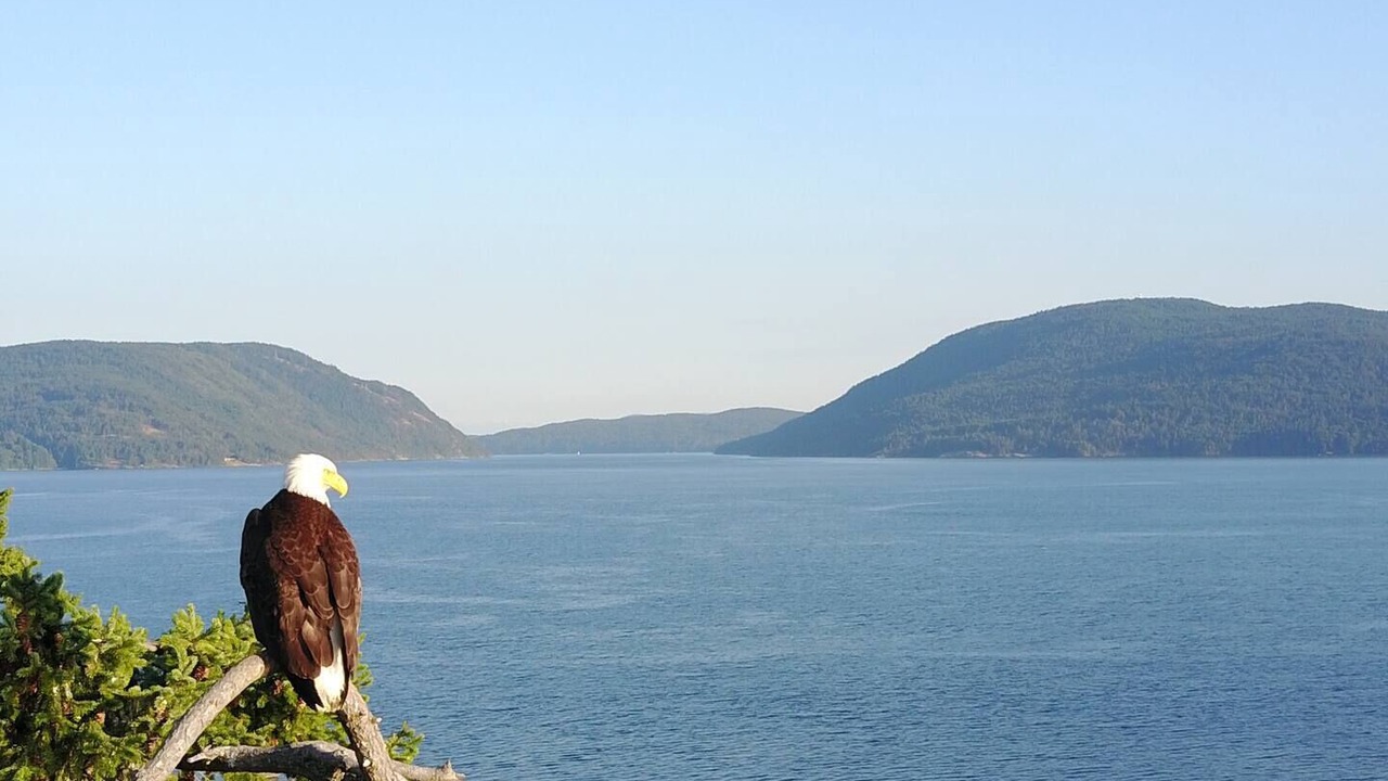 Photo of Others in Gulf Islands