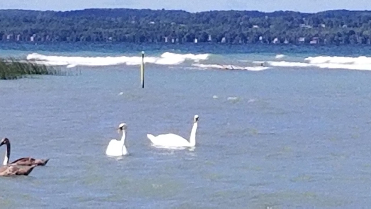 Photo of Others in Meaford