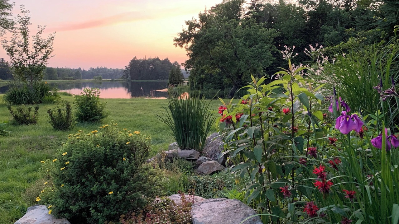 Photo of Outdoor in Clare