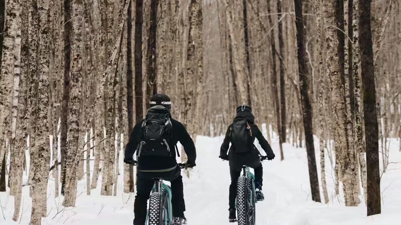 Photo of Others in Saint-Raymond