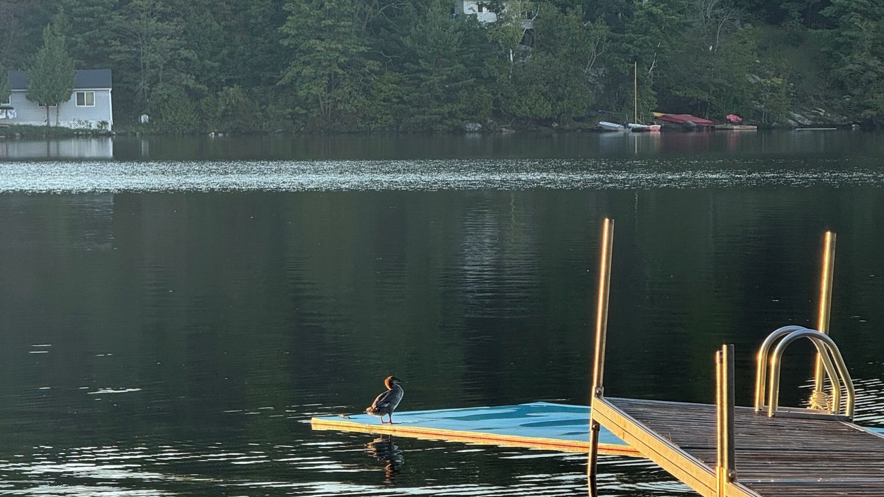Photo of Others in Tay Valley