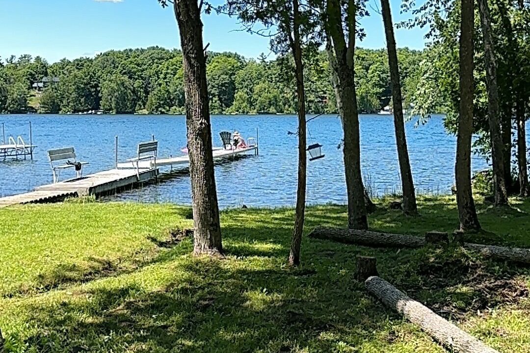 Photo of Others in Tay Valley