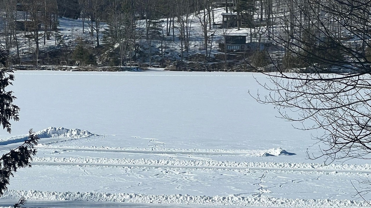 Photo of Others in Tay Valley