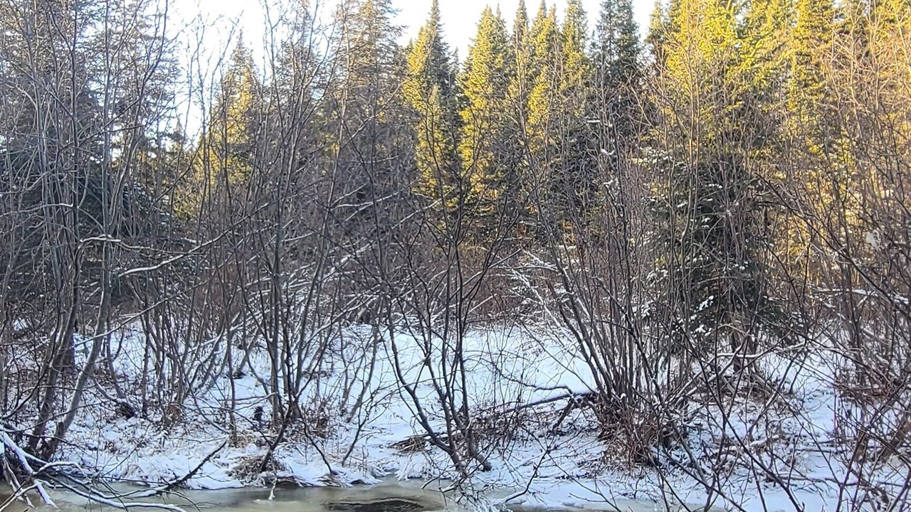 Photo of Others in Notre-Dame-Des-Bois