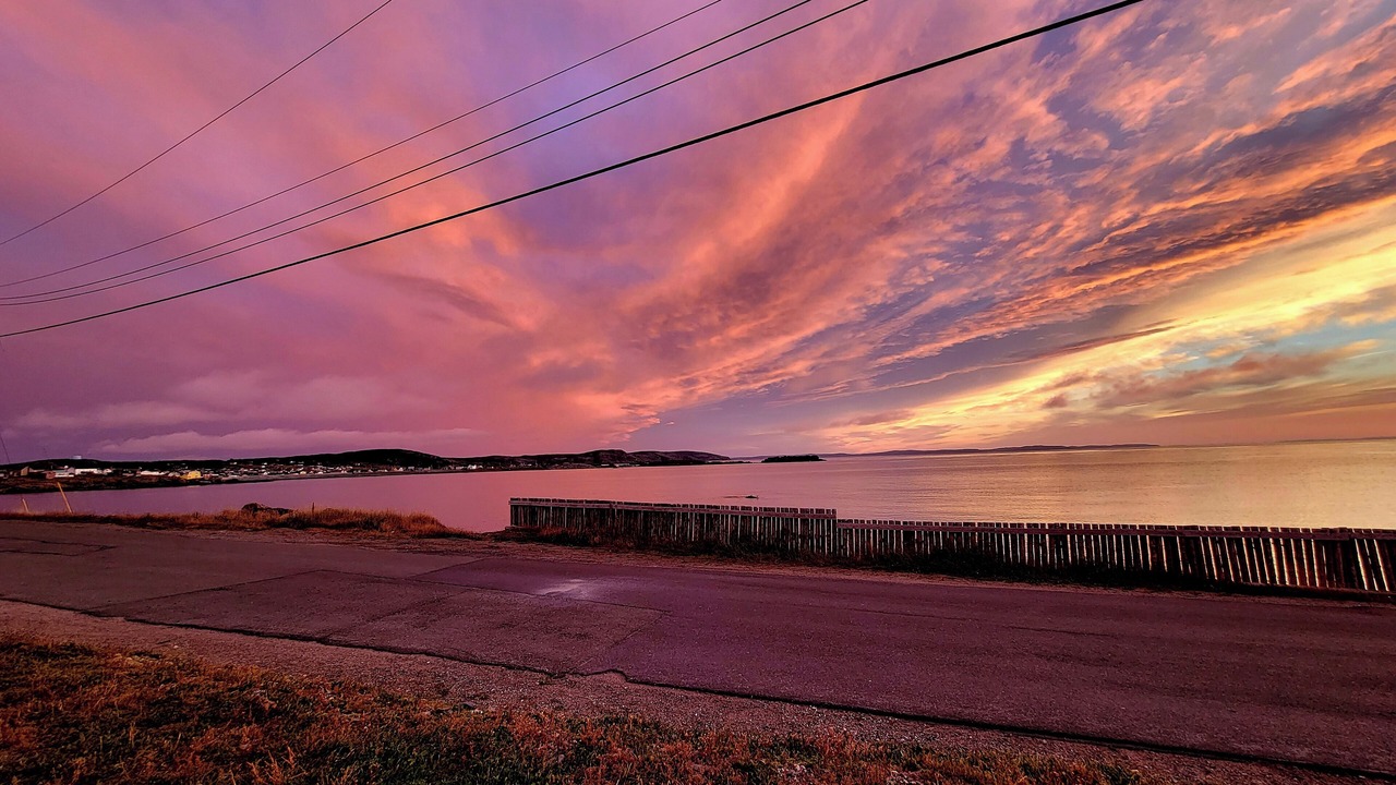 Photo of Others in Bonavista