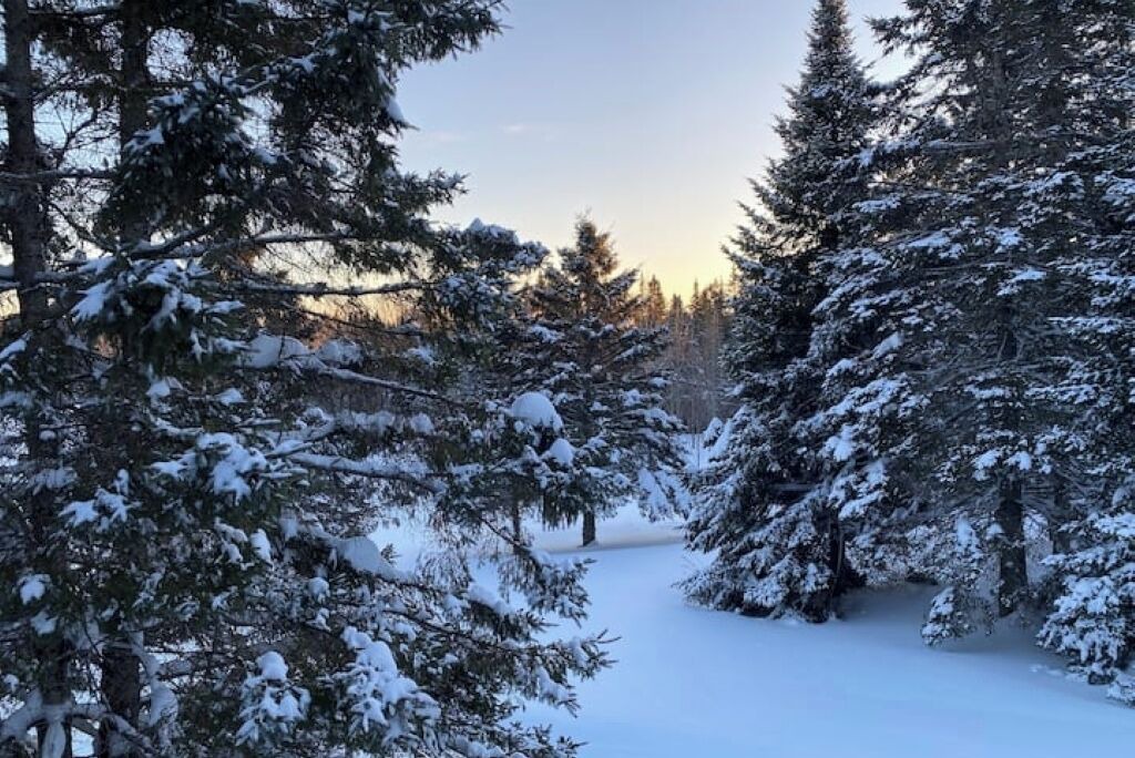 Photo of Others in Saint-Luc-de-Bellechasse