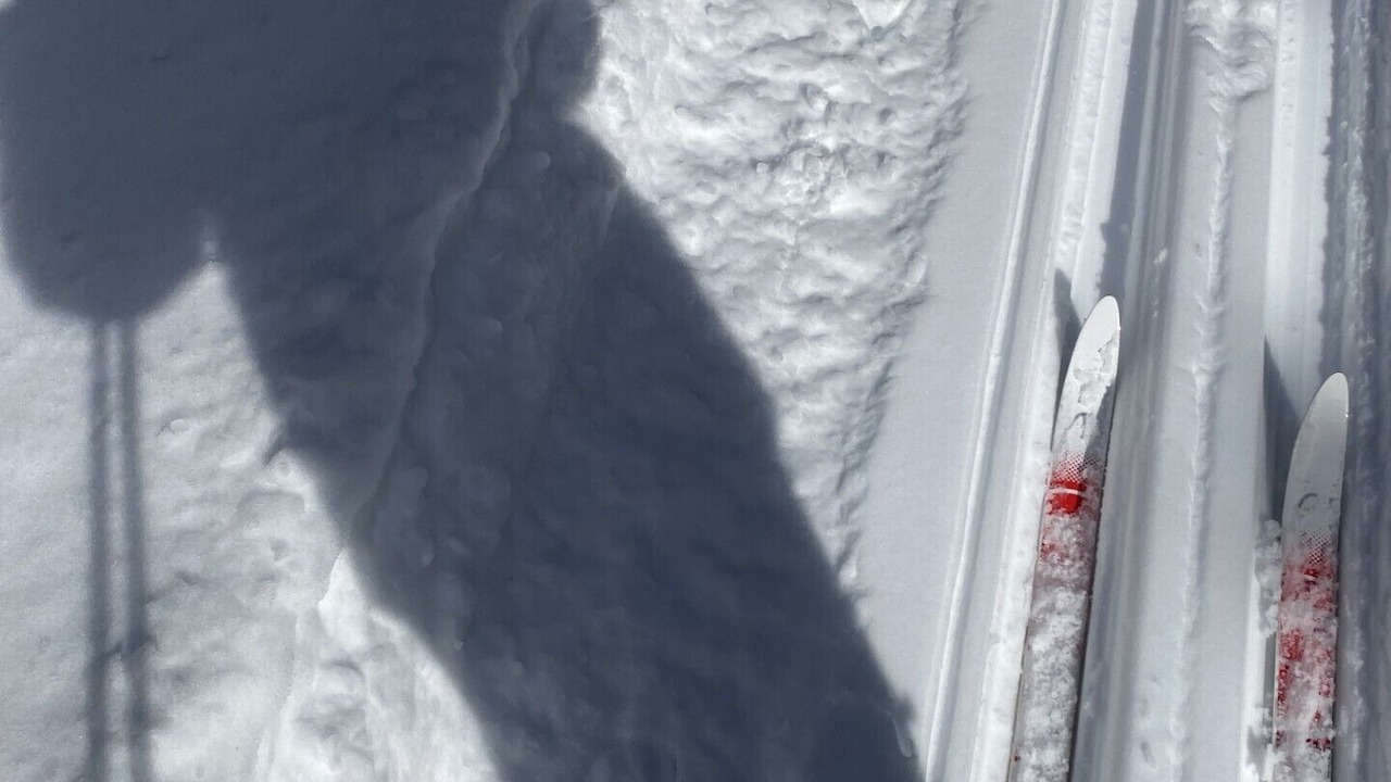 Photo of Others in Saint-Luc-de-Bellechasse