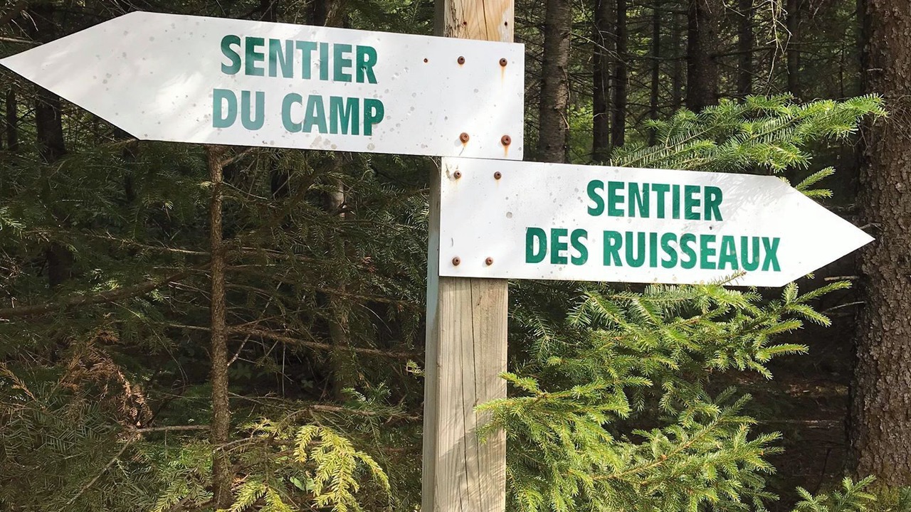 Photo of Others in Saint-Luc-de-Bellechasse