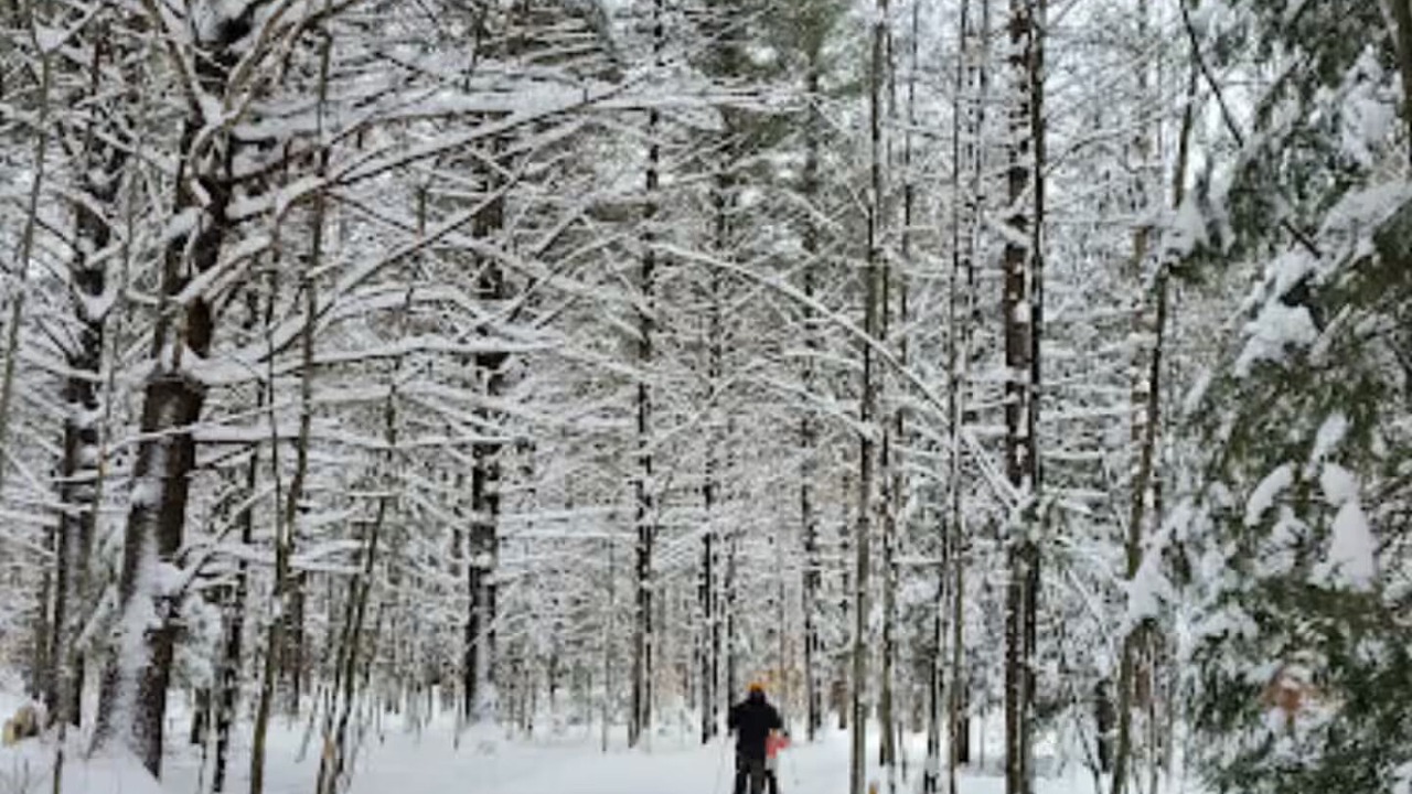 Photo of Others in Lorraine