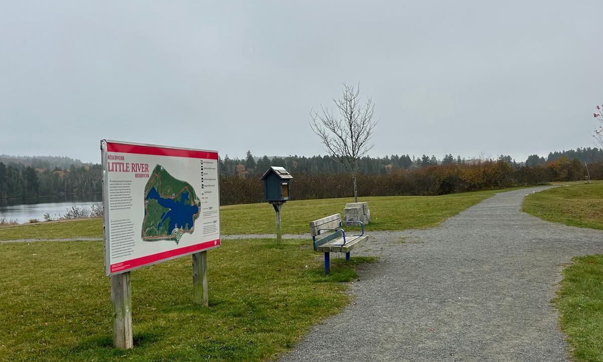 Photo of Others in Saint John